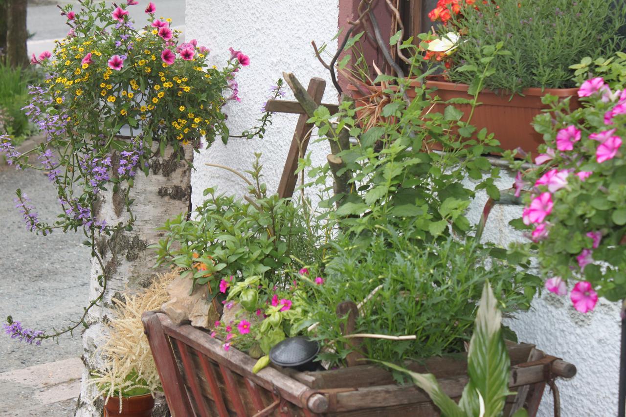 Pension Und Restaurant Die Burg Ehrenfriedersdorf Exteriör bild